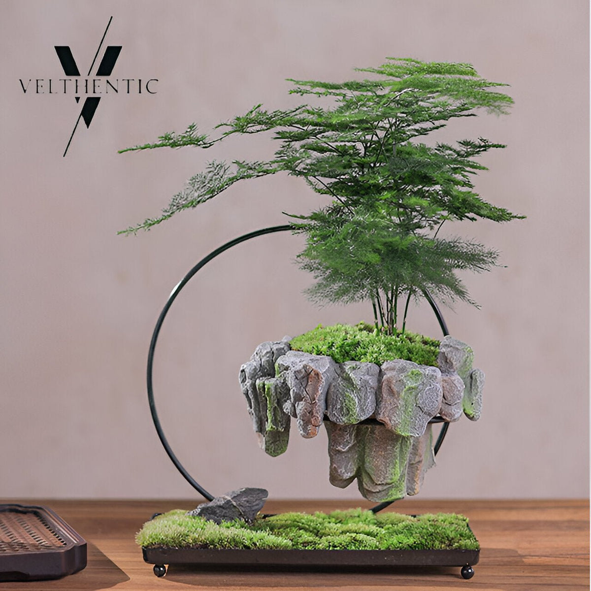 FantasyPot™ Hand-Made Stone Design Levitating Bonsai Pot - Hommfer