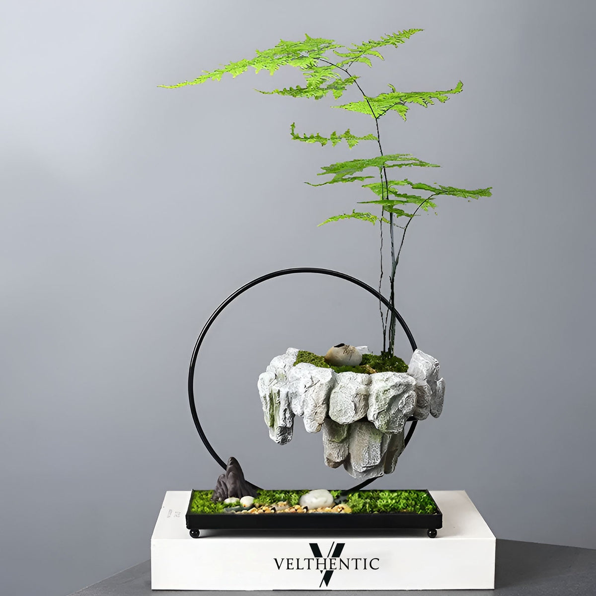 FantasyPot™ Hand-Made Stone Design Levitating Bonsai Pot - Hommfer