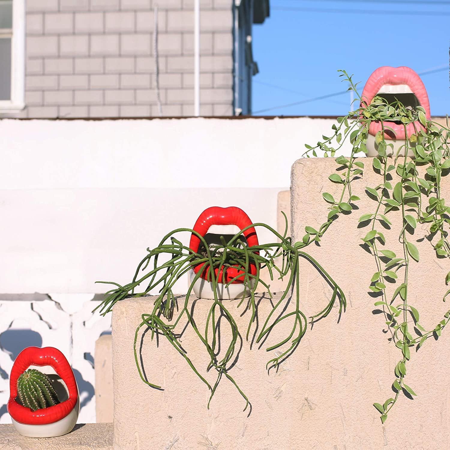 Hommfer - Cache - Pot en Céramique Forme Lèvres pour le Salon - Hommfer