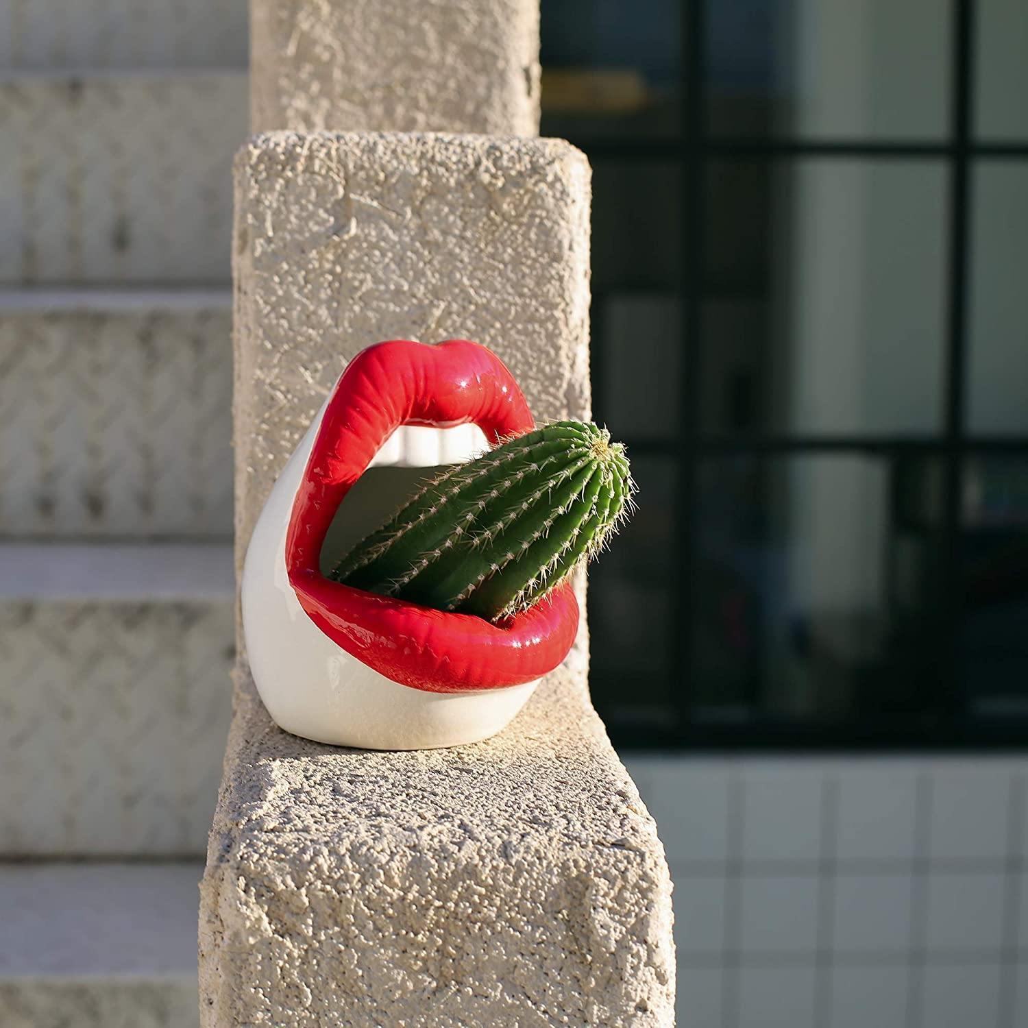Hommfer - Cache - Pot en Céramique Forme Lèvres pour le Salon - Hommfer