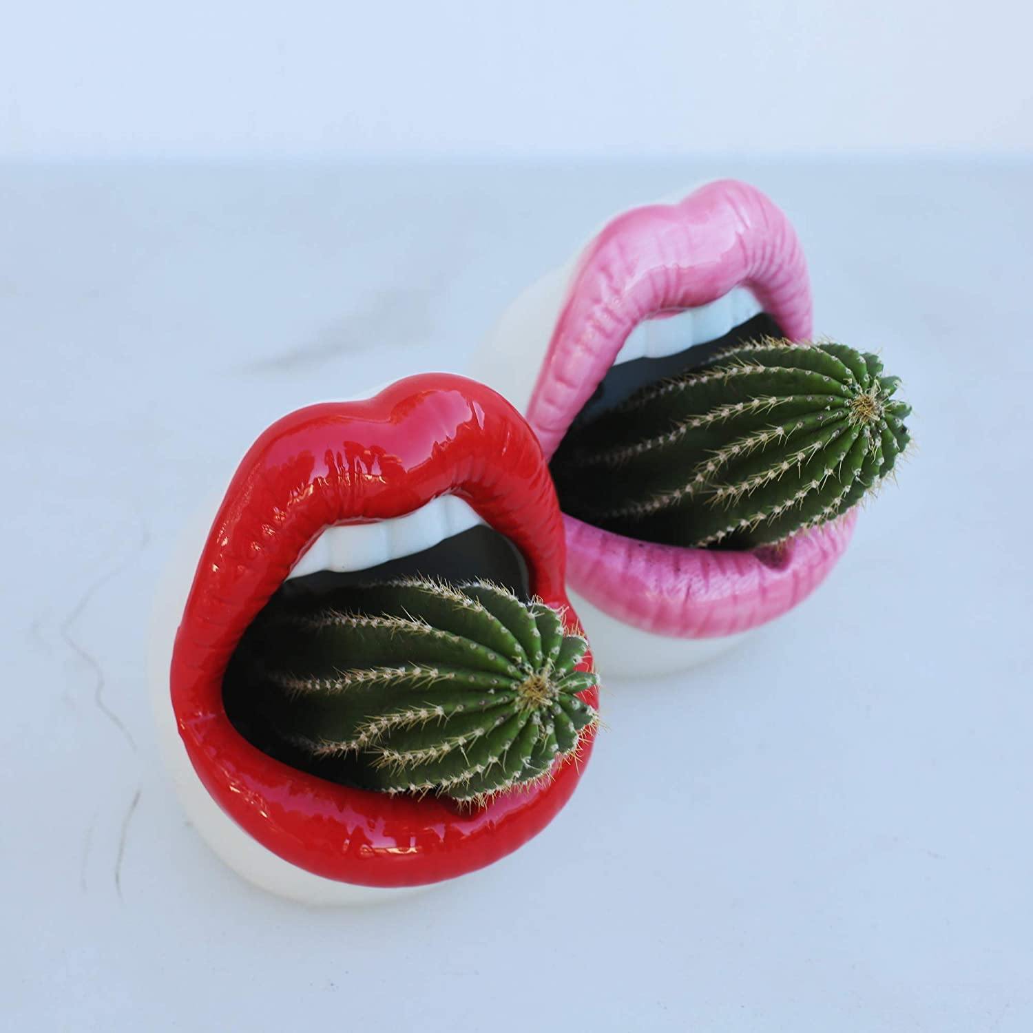 Hommfer - Cache - Pot en Céramique Forme Lèvres pour le Salon - Hommfer