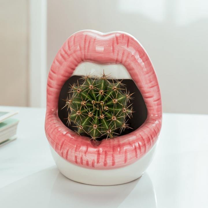 Hommfer - Cache - Pot en Céramique Forme Lèvres pour le Salon - Hommfer