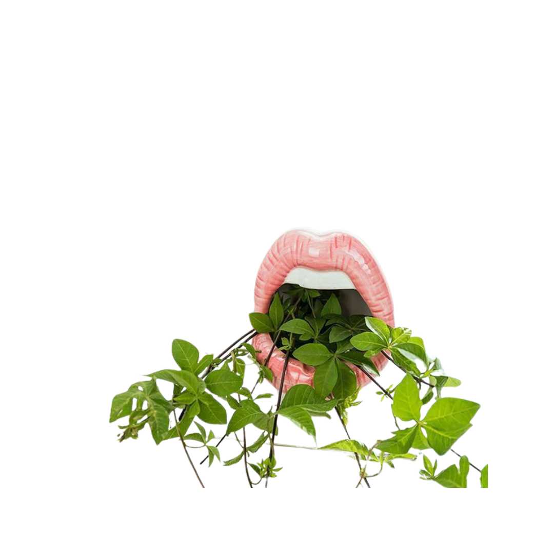 Hommfer - Cache - Pot en Céramique Forme Lèvres pour le Salon - Hommfer