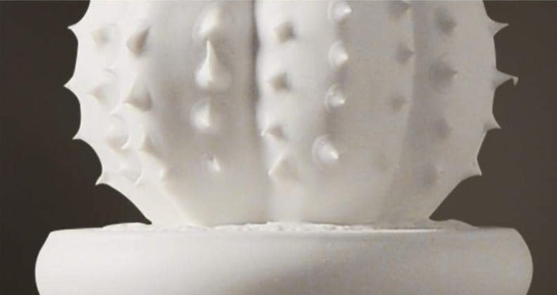 Hommfer – Collection de Cactus en Porcelaine Blanche - Hommfer