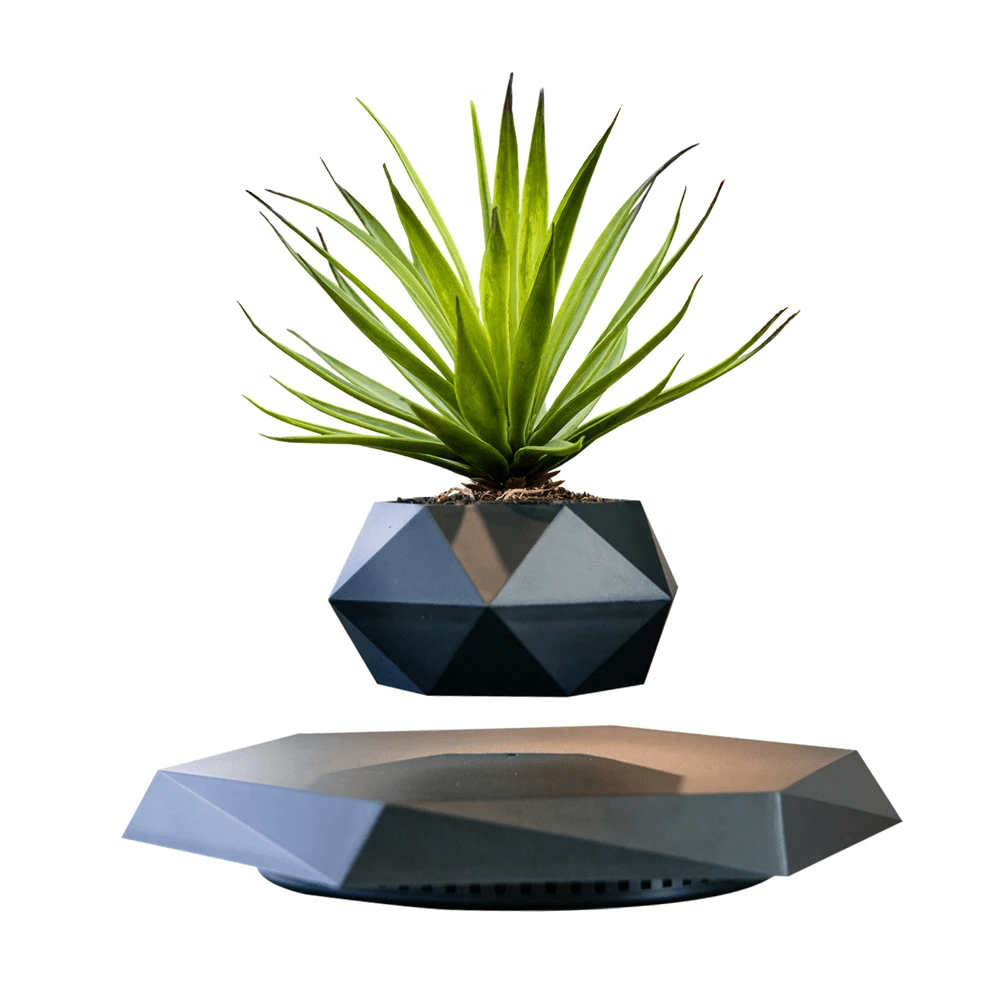 Hommfer – Pot de Fleur Flottant pour Salon - Hommfer