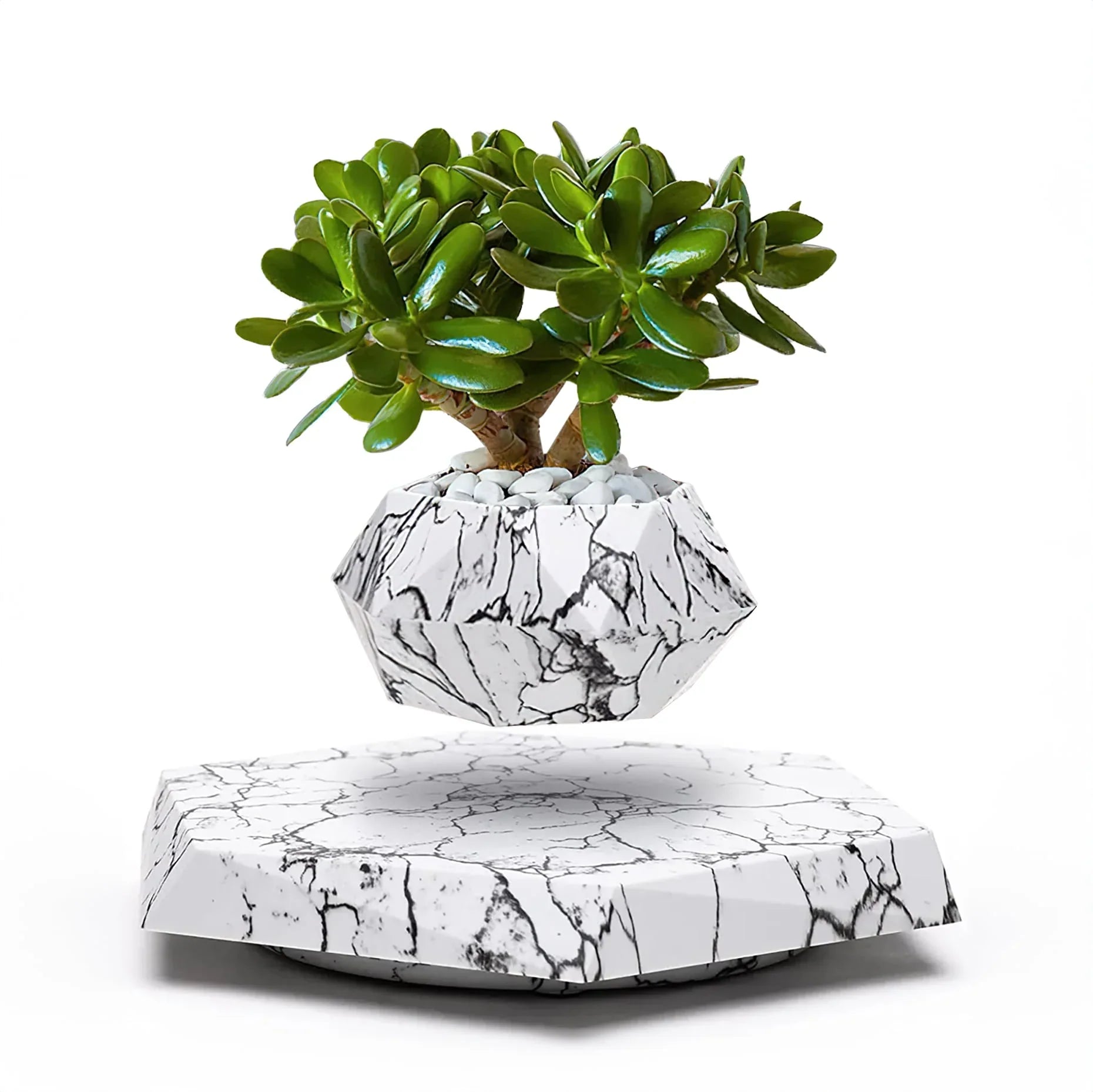 Hommfer – Pot de Fleur Flottant pour Salon - Hommfer