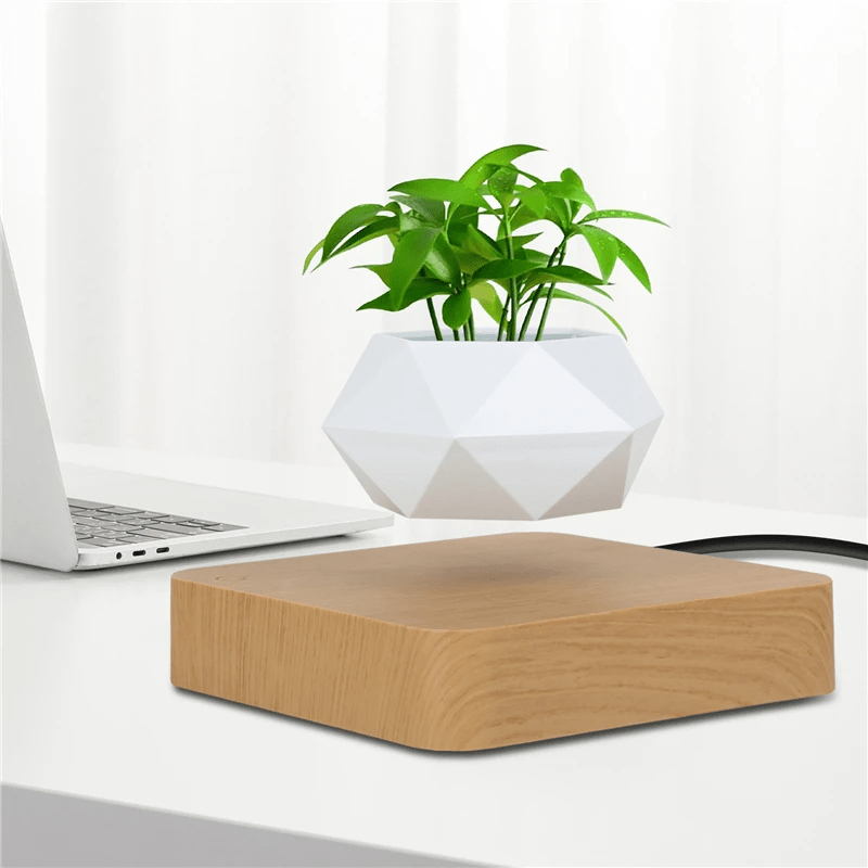 Hommfer – Pot de Fleur Flottant pour Salon - Hommfer