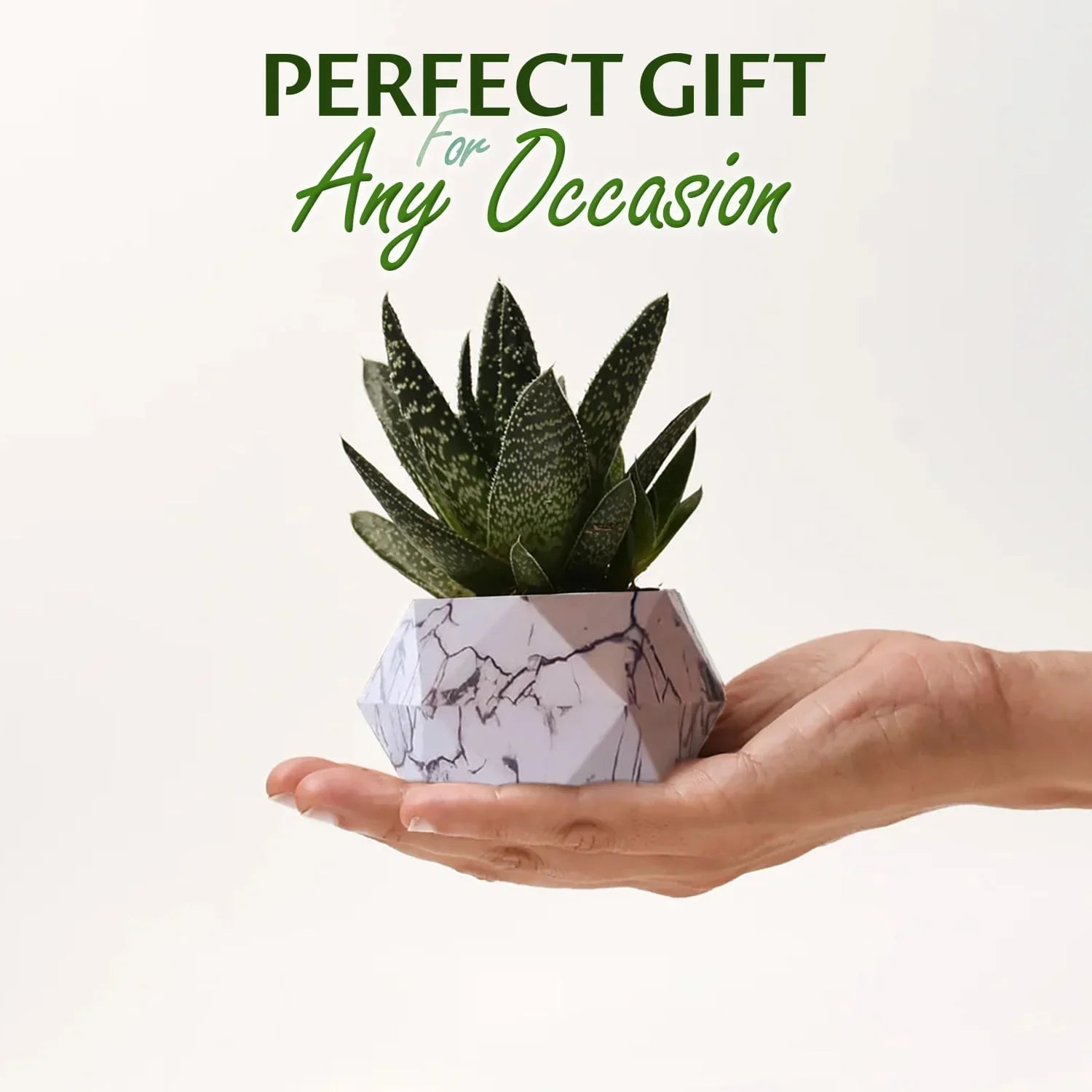 Hommfer – Pot de Fleur Flottant pour Salon - Hommfer