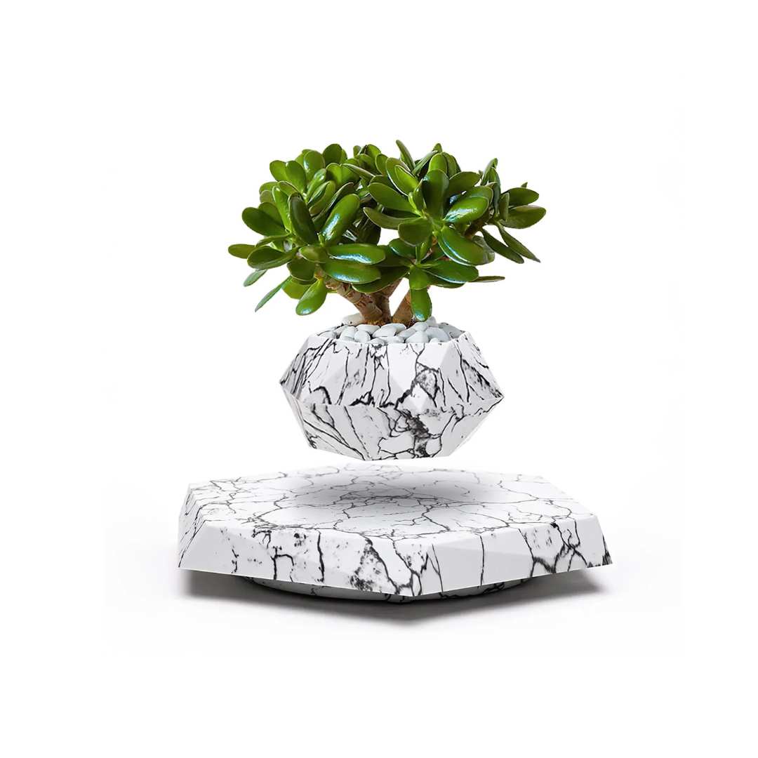 Hommfer – Pot de Fleur Flottant pour Salon - Hommfer