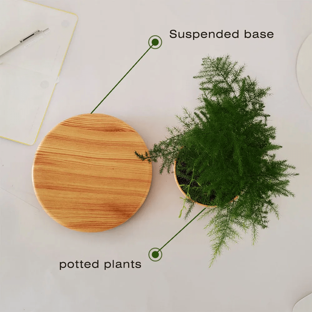 Hommfer – Pot de Fleur Flottant pour Salon - Hommfer