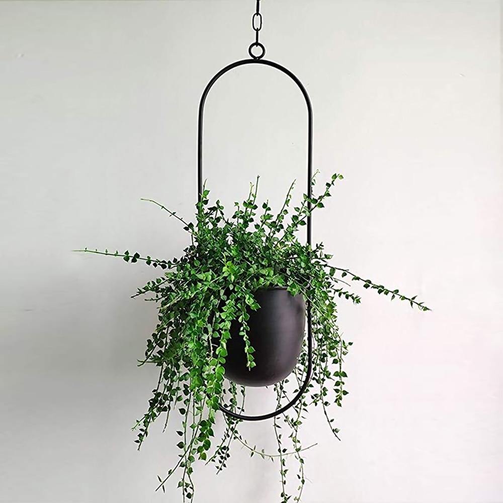 Hommfer - Suspension Murale en Métal pour Plantes - Hommfer