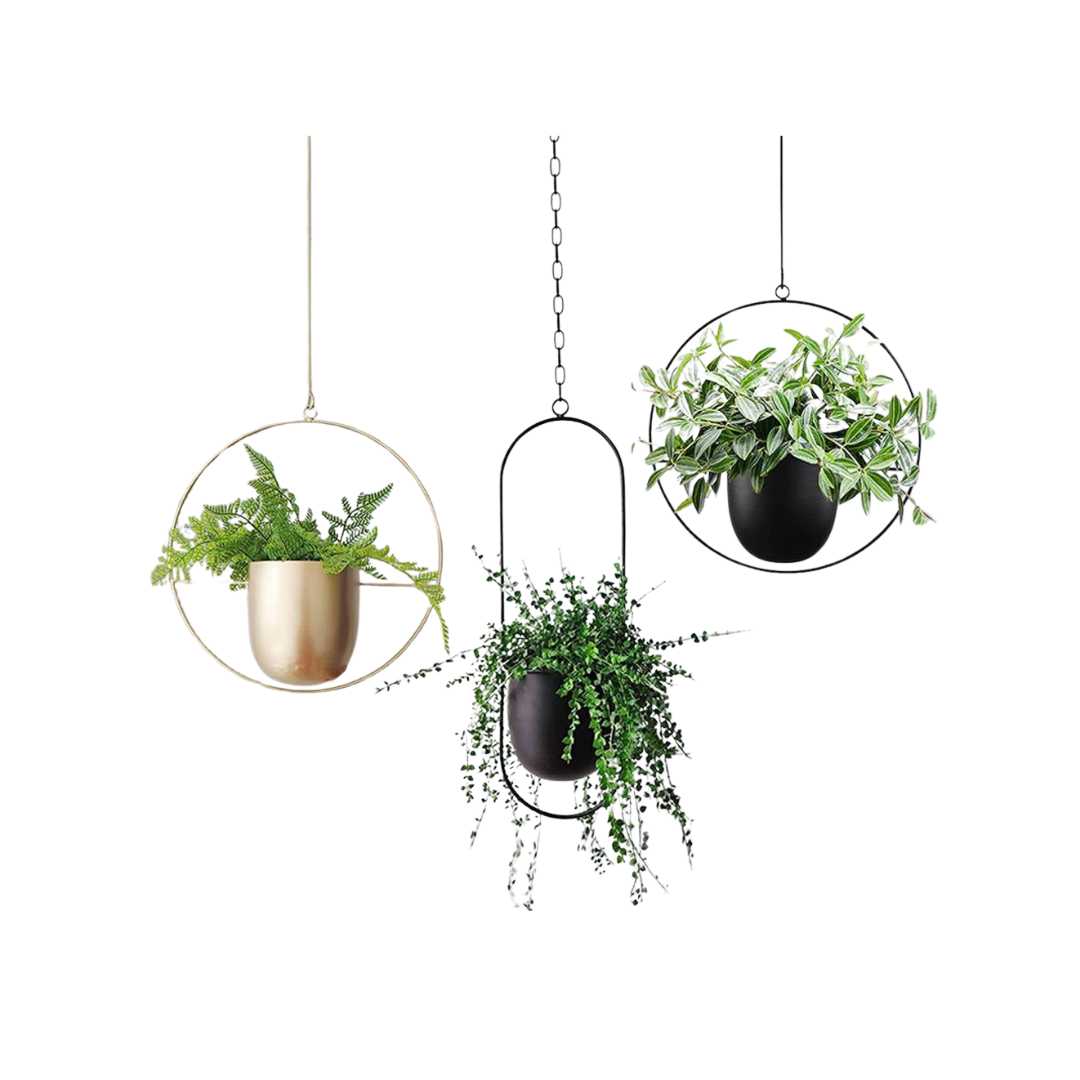 Hommfer - Suspension Murale en Métal pour Plantes - Hommfer