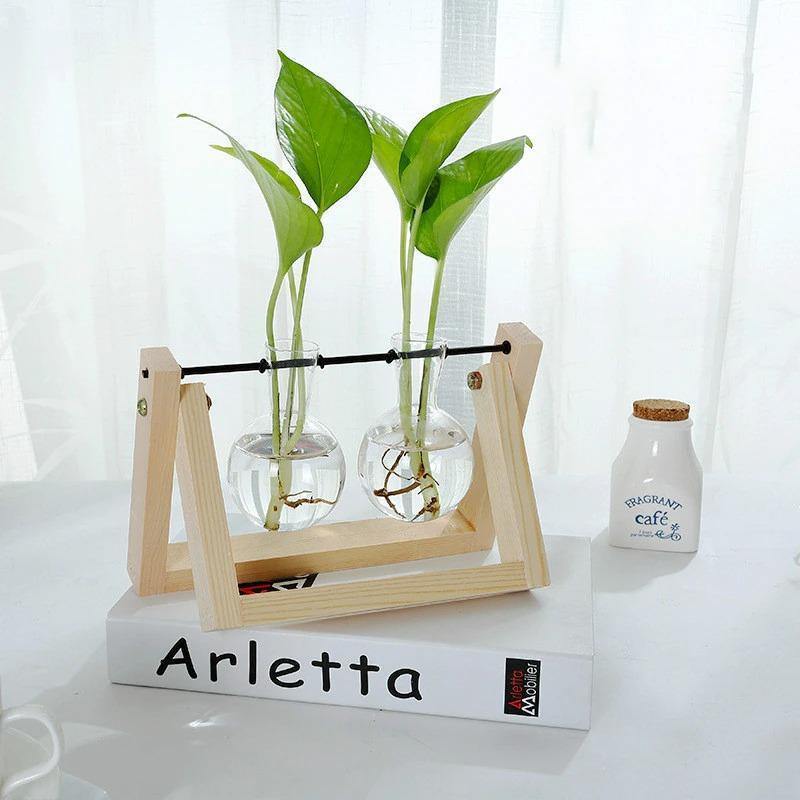 Hommfer – Vase de Bouturage en Verre avec Support en Bois A - Frame - Hommfer