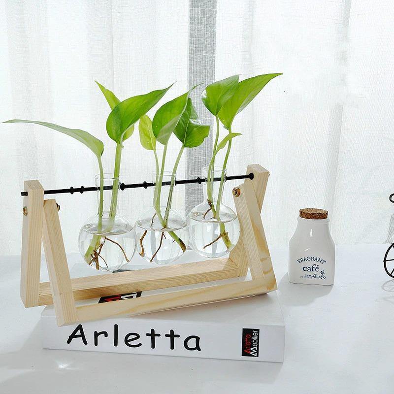 Hommfer – Vase de Bouturage en Verre avec Support en Bois A - Frame - Hommfer