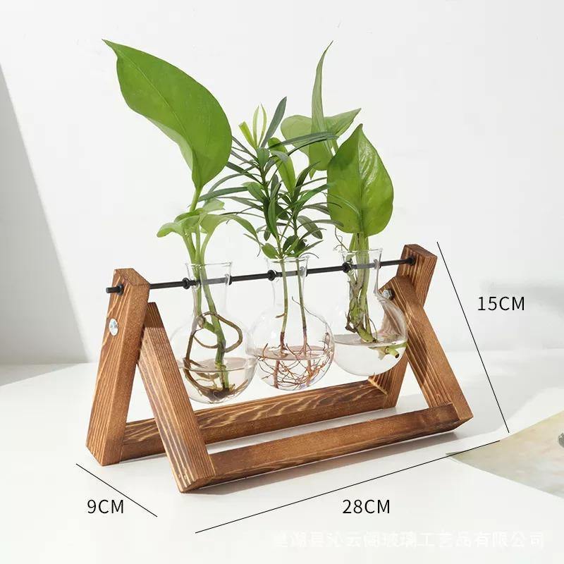Hommfer – Vase de Bouturage en Verre avec Support en Bois A - Frame - Hommfer