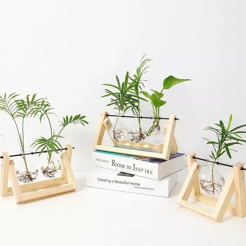 Hommfer – Vase de Bouturage en Verre avec Support en Bois A - Frame - Hommfer