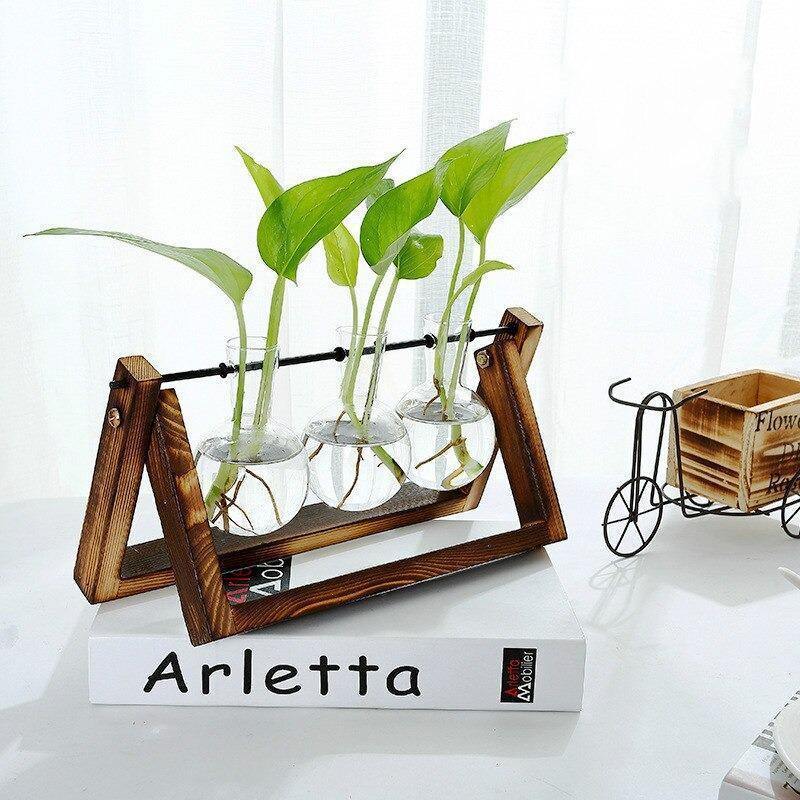 Hommfer – Vase de Bouturage en Verre avec Support en Bois A - Frame - Hommfer