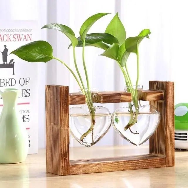 Hommfer – Vase de propagation en verre en forme de cœur avec support en bois - Hommfer