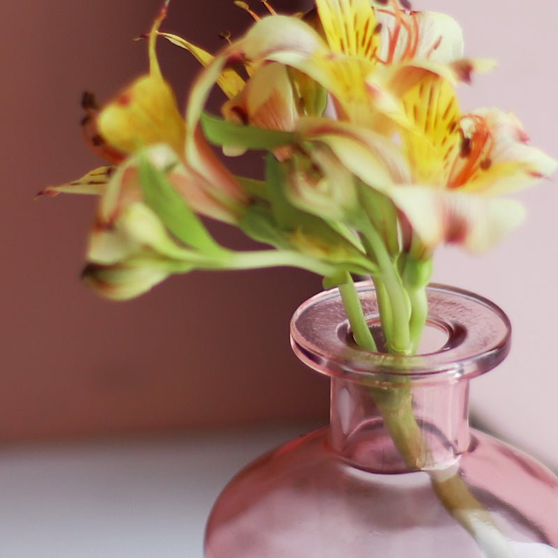 Hommfer - Vases en Verre Coloré pour la Salle de Bain - Hommfer