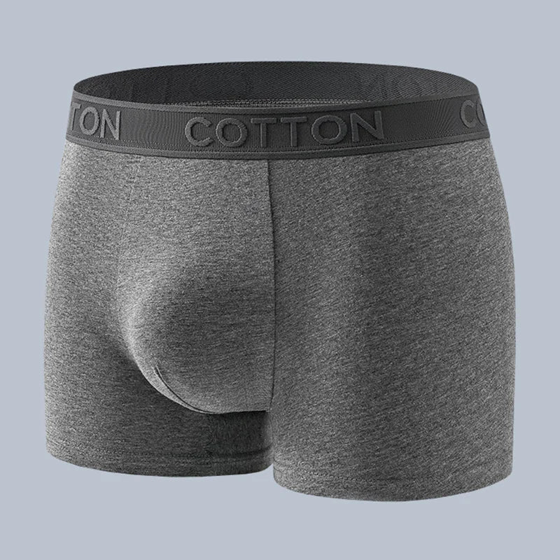 Arden Caleçons en coton biologique évacuant l’humidité avec ceinture large, lot de 5 - Hommfer