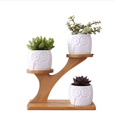 Hommfer – Arbre Décoratif en Bambou avec Pots Hiboux en Céramique - Hommfer