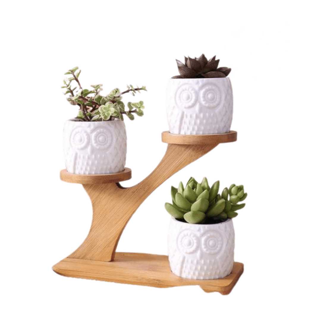 Hommfer – Arbre Décoratif en Bambou avec Pots Hiboux en Céramique - Hommfer