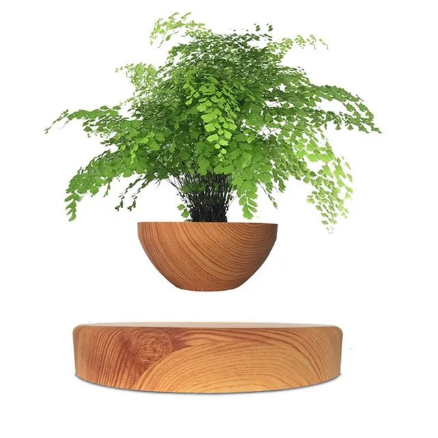 Hommfer – Pot de Fleur Flottant pour Salon - Hommfer