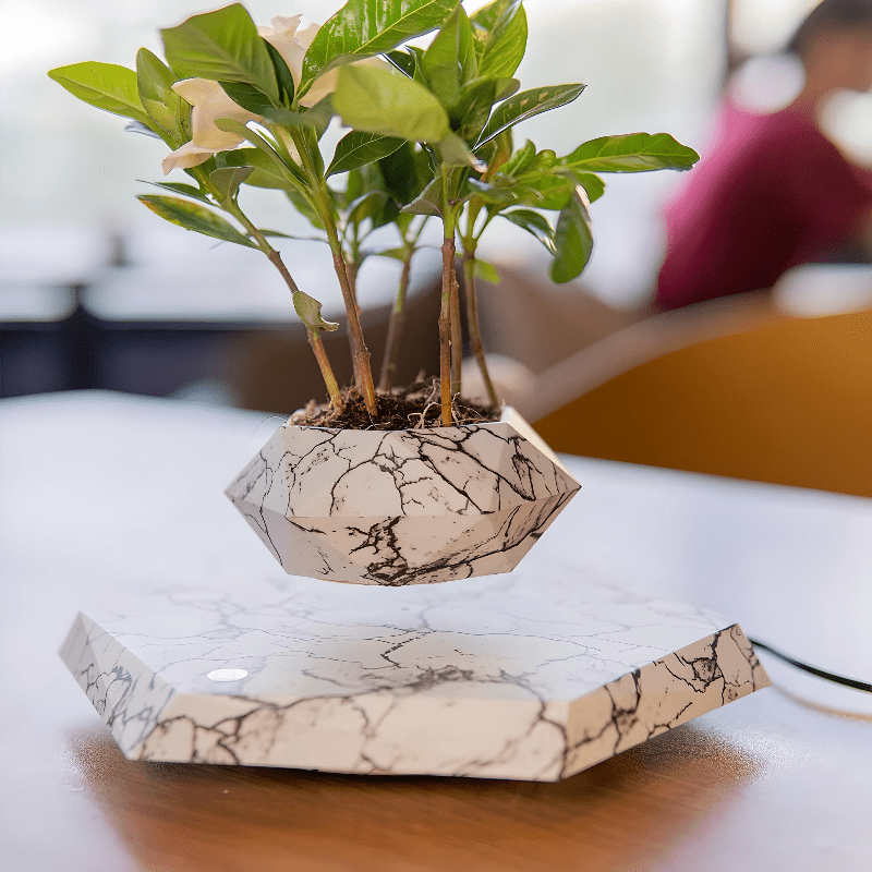 Hommfer – Pot de Fleur Flottant pour Salon - Hommfer