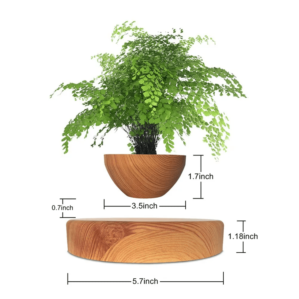 Hommfer – Pot de Fleur Flottant pour Salon - Hommfer