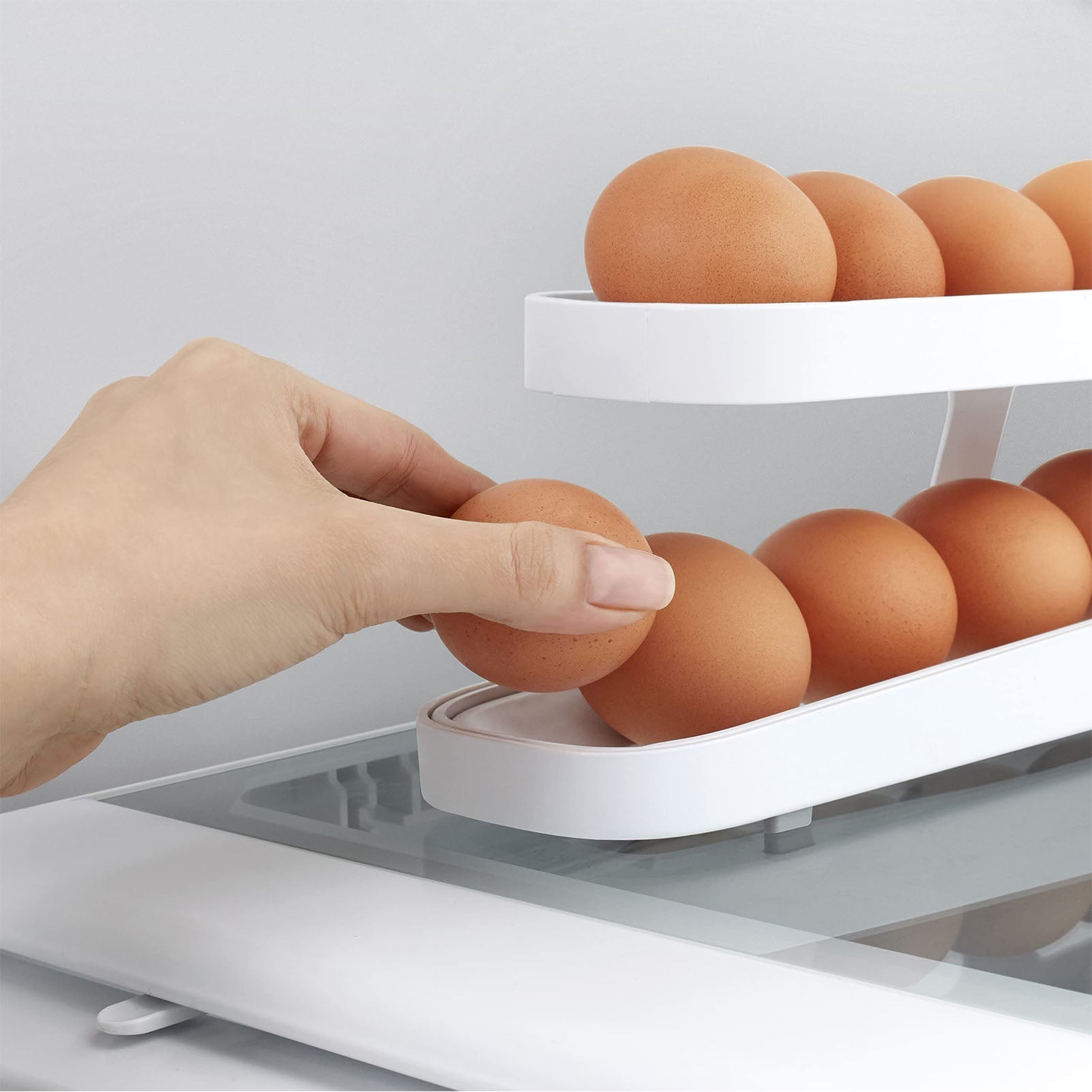 Hommfer – Range - Œufs Automatique Compact - Hommfer
