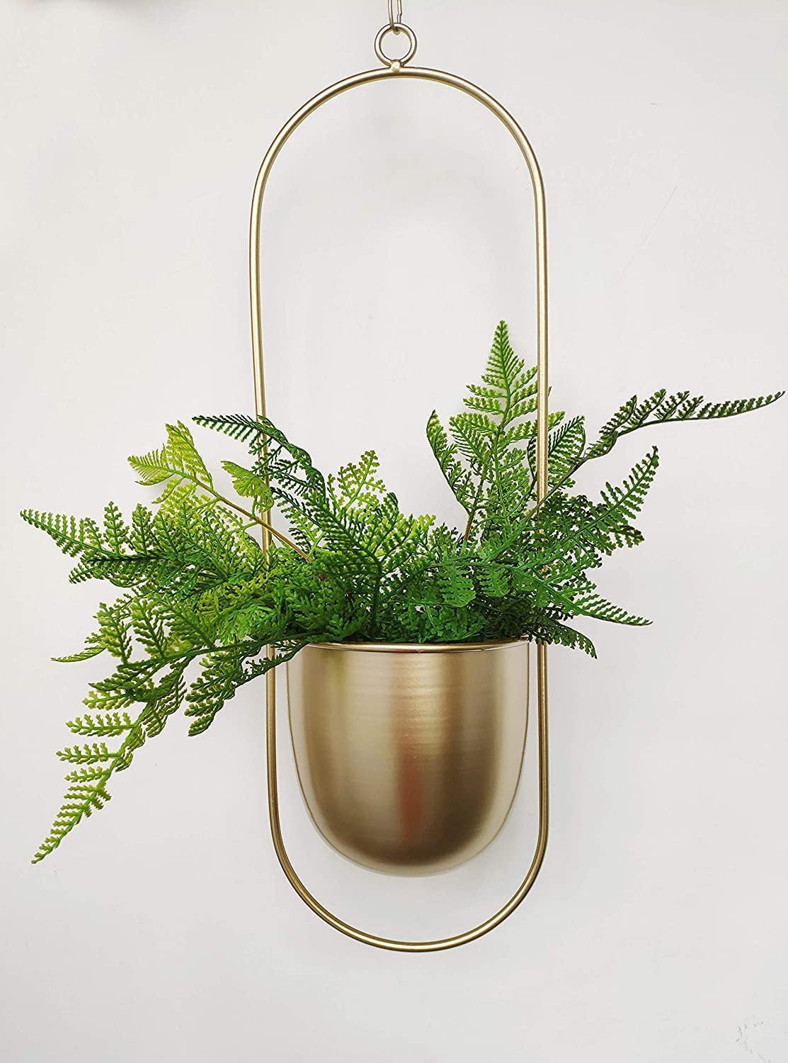 Hommfer - Suspension Murale en Métal pour Plantes - Hommfer