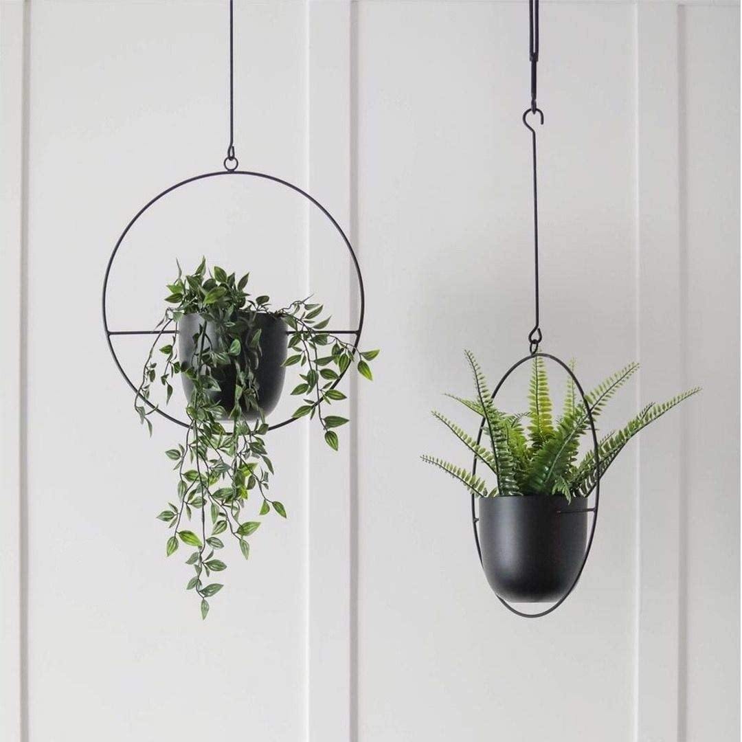 Hommfer - Suspension Murale en Métal pour Plantes - Hommfer