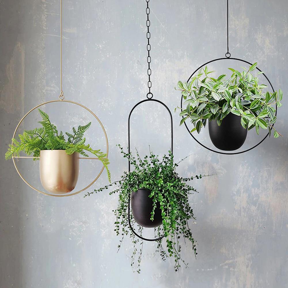 Hommfer - Suspension Murale en Métal pour Plantes - Hommfer