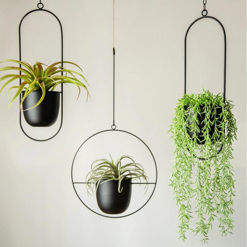 Hommfer - Suspension Murale en Métal pour Plantes - Hommfer