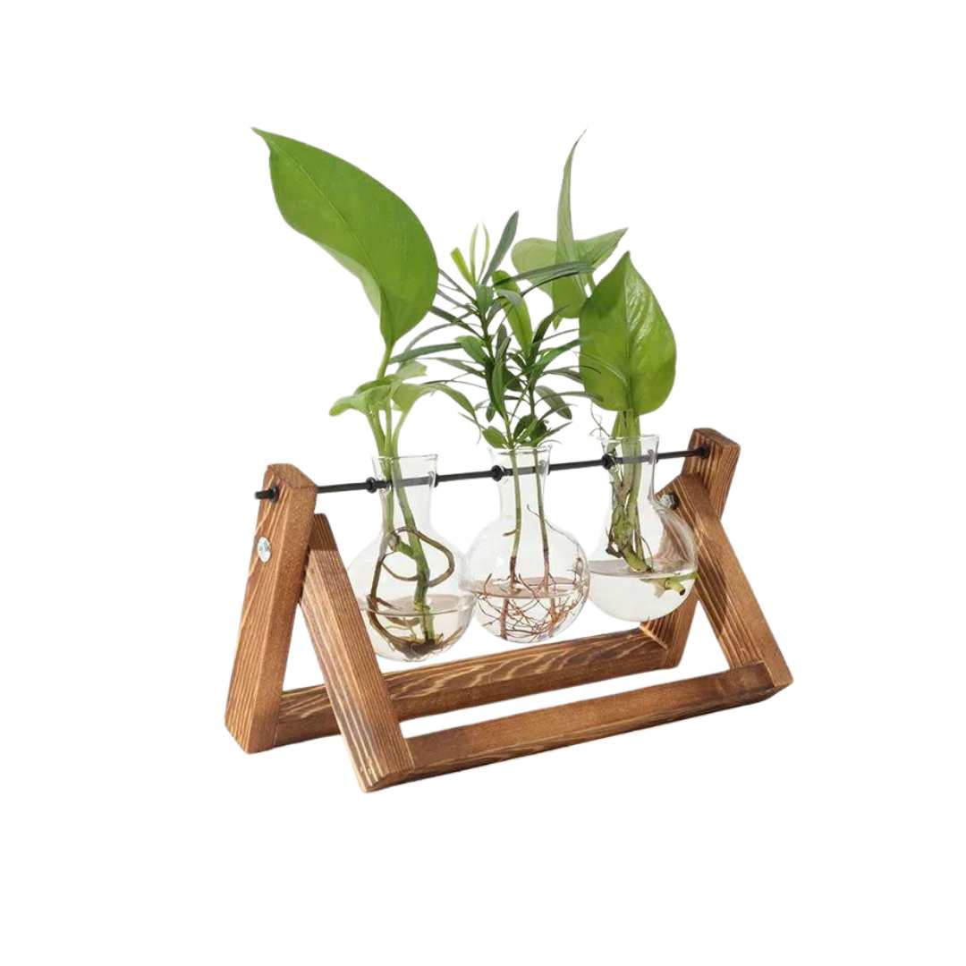 Hommfer – Vase de Bouturage en Verre avec Support en Bois A - Frame - Hommfer