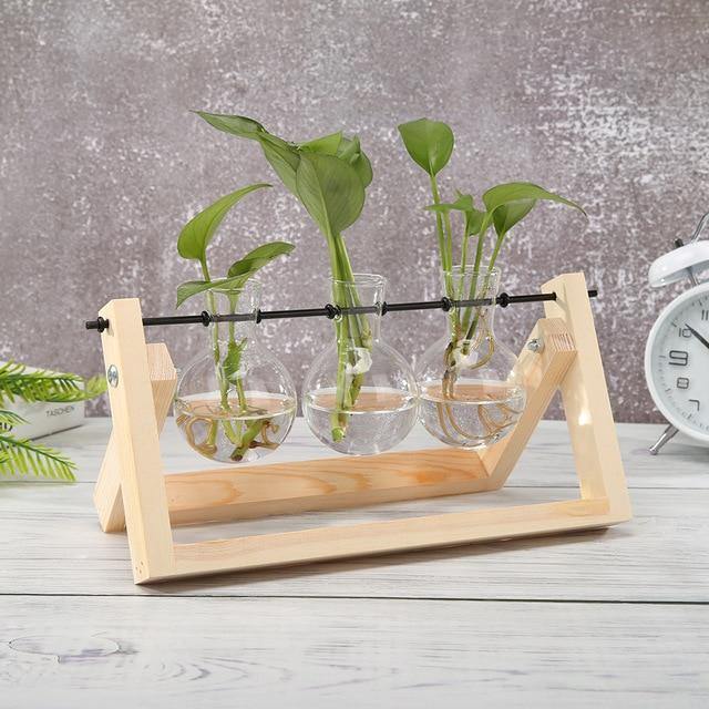 Hommfer – Vase de Bouturage en Verre avec Support en Bois A - Frame - Hommfer