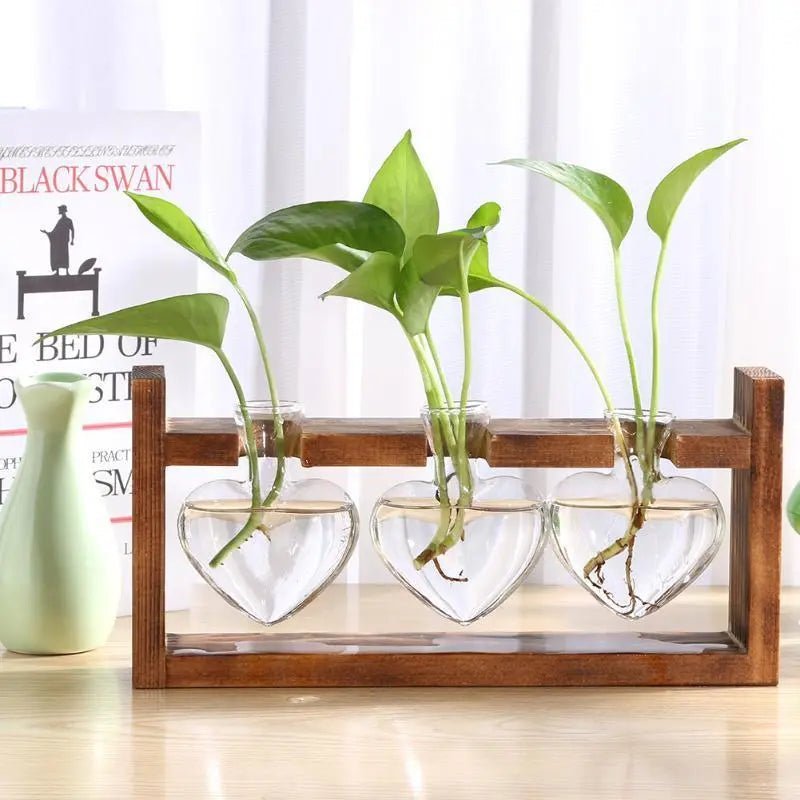 Hommfer – Vase de propagation en verre en forme de cœur avec support en bois - Hommfer