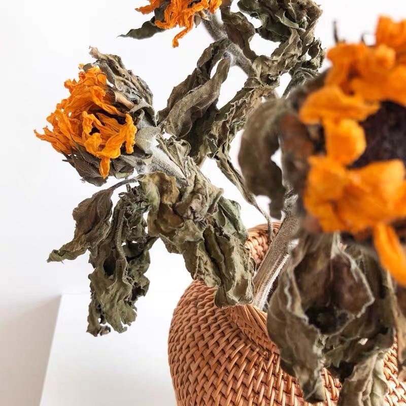 Hommfer – Vase en Rotin Tressé à la Main pour le Salon - Hommfer